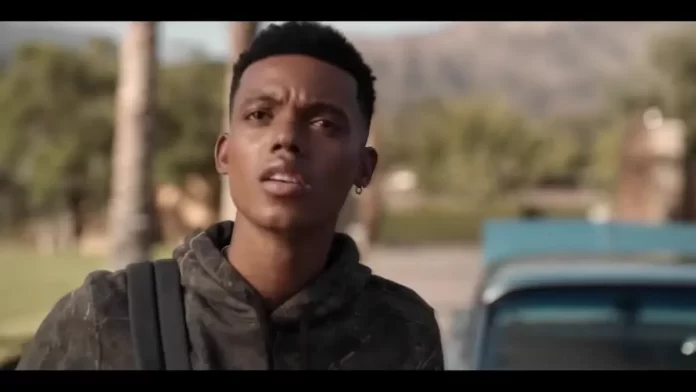 Bel-Air series 2022