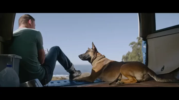 Dog 2022 Movie Description and Action Movie, In theaters, Movie Duration, Movie Trailer, Actors, Cast, Foreign Movies 2022, Imdb Rating.  Youtube Screenshot