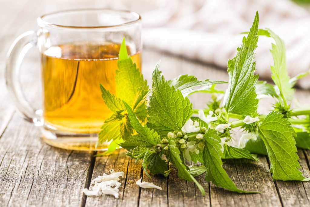 Nettle tea - preparation, healing properties, side effects