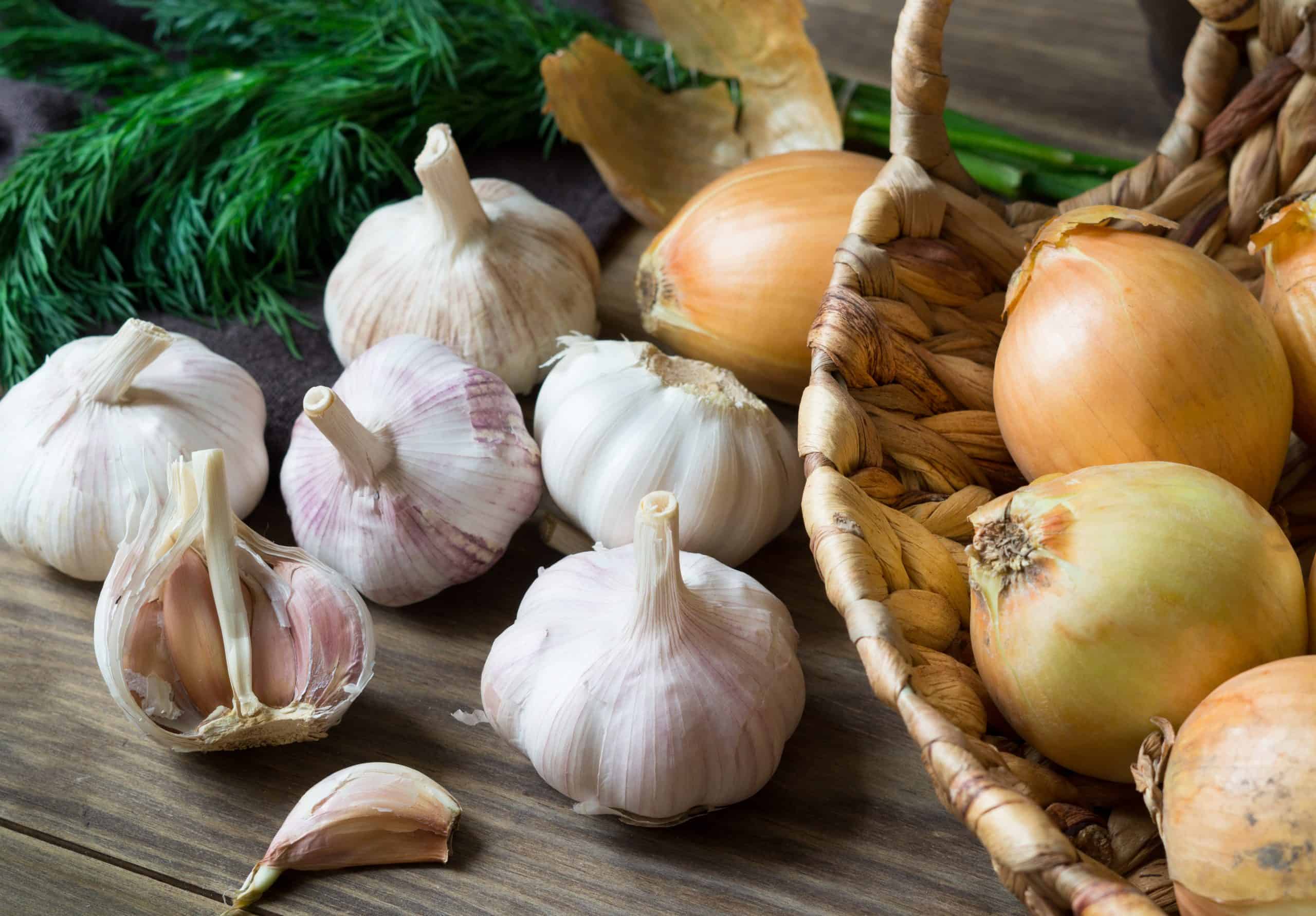 What Are Benefits of Onion and Garlic
