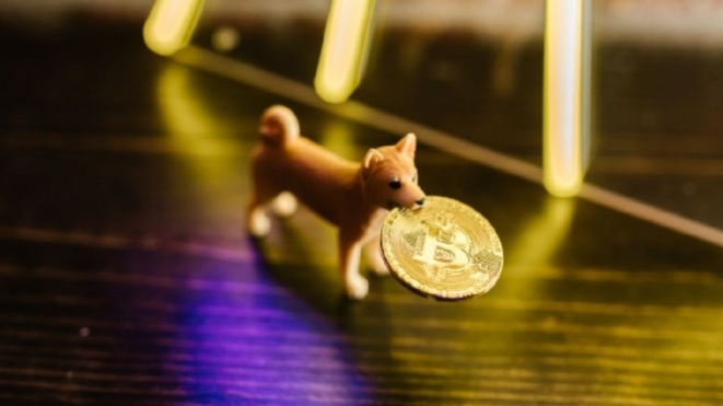 Shiba Inu surpasses Bitcoin and Ethereum Shiba Inu surpasses Bitcoin and Ethereum and ranks as the most popular cryptocurrency in 2021 by the CoinMarketCap index