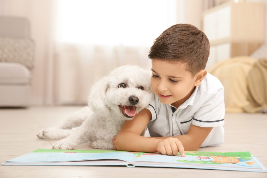 The best dogs for kids The best dogs for kids