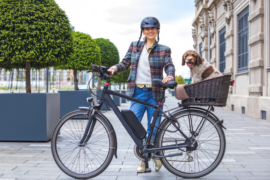 How to Choose an Electric Bike How to Choose an Electric Bike